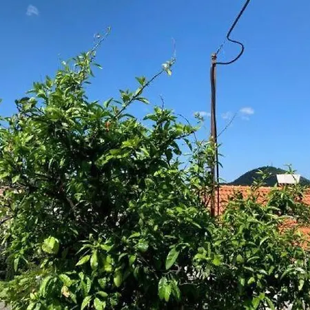 2 - Double With Shared Bathroom 1 - 3 Apartment *