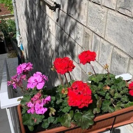 2 - Double With Shared Bathroom 1 - 3 Dubrovnik